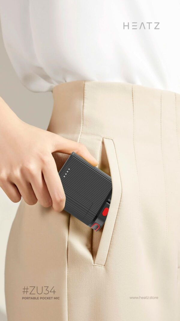 Wireless Microphone - Image 2